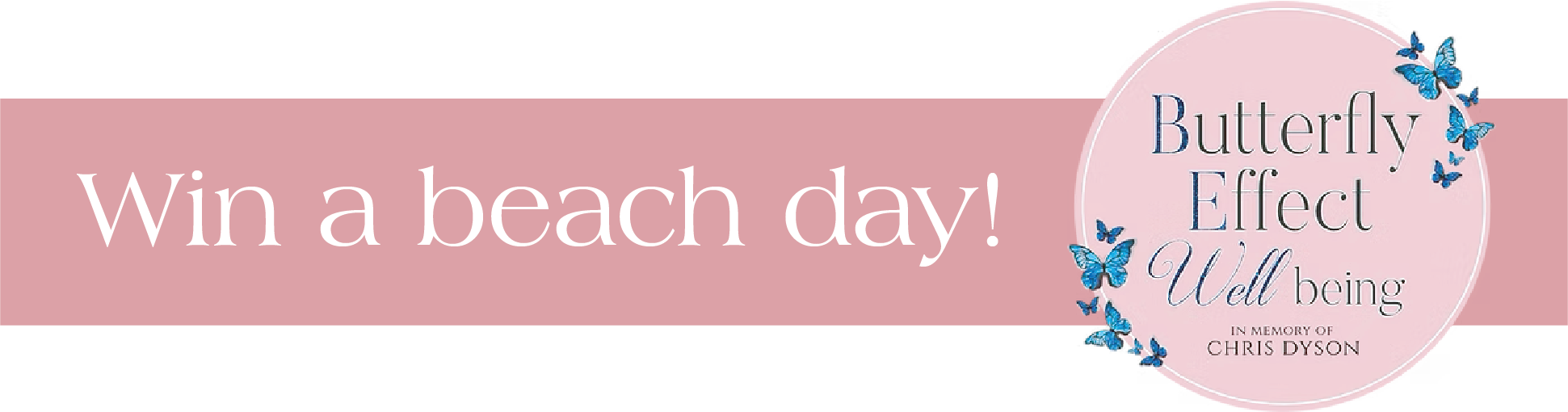 LSB Raffle Web Banner